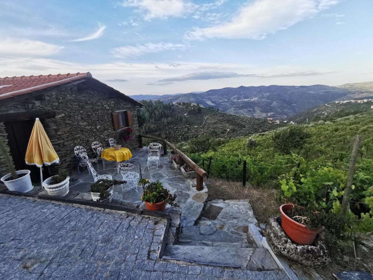 Villa Casa Da Vinha Em Tabuaco - Douro Exterior foto