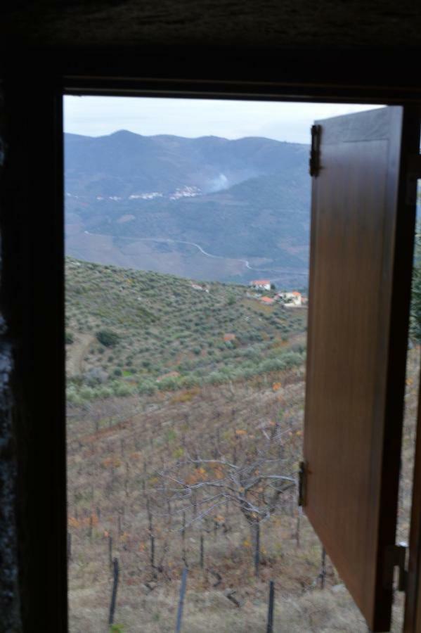 Villa Casa Da Vinha Em Tabuaco - Douro Exterior foto